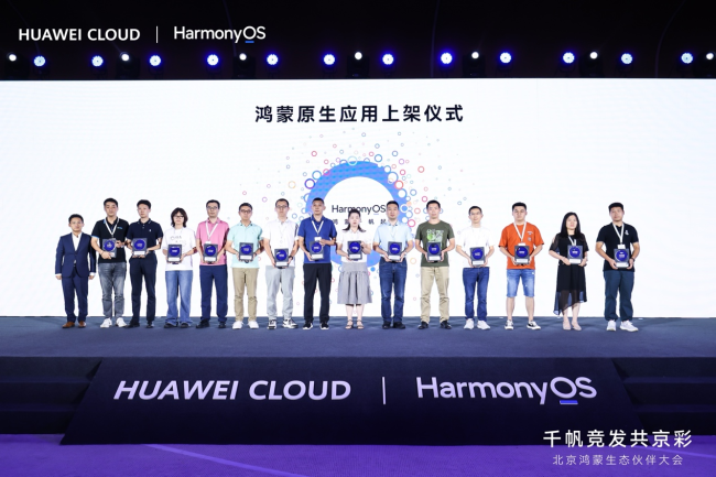 总理的职责与挑战：引领国家前行的掌舵者