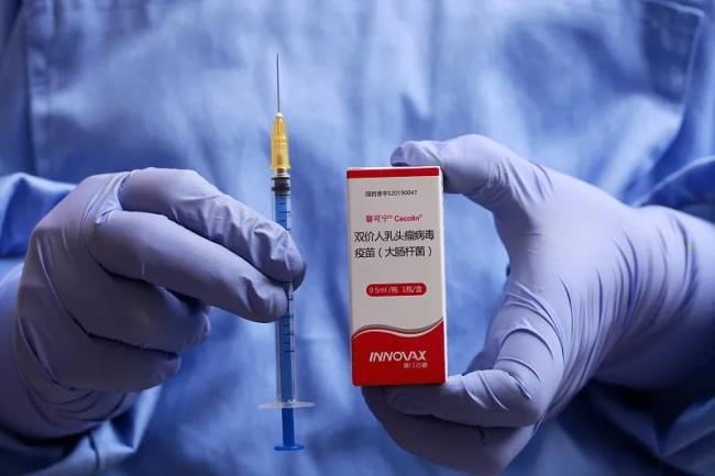 预算软约束：转型经济中的隐形推手