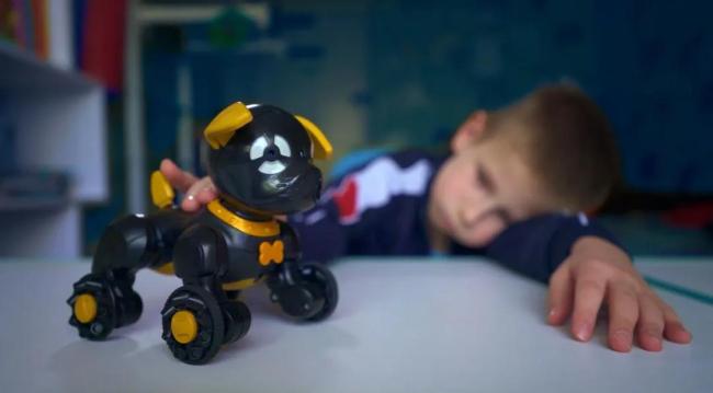 量化宽松政策的演变与当代挑战