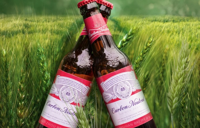 强化微观监管：构建清朗网络资讯空间的基石